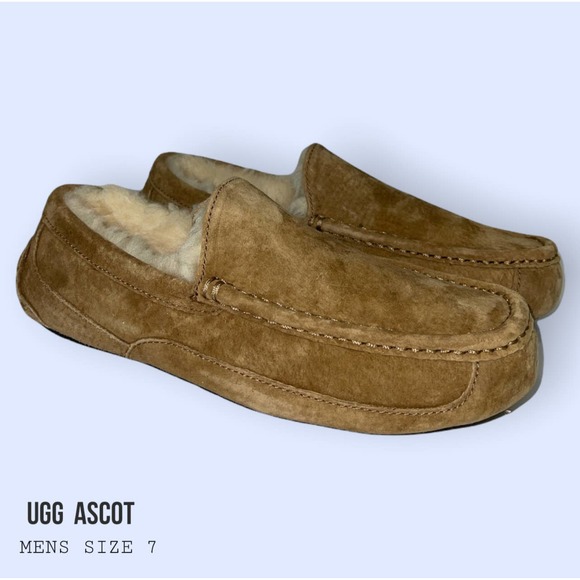 UGG ascot main image 4